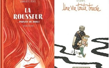 Delcourt : Une vie toute tracée, La rousseur pointée du doigt