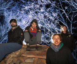 Animal Collective