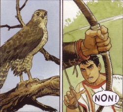 ... ce n'est pas un aigle, c'est un faucon !