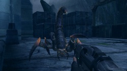 Un scorpion géant préhistorique