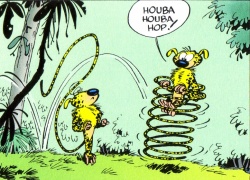 La parade amoureuse du marsu...