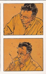 Le choucas en action