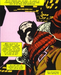 Un Serval, des cerveaux