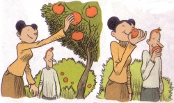 Et Eve croqua la pomme