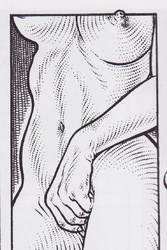 ce sein que je ne saurais voir