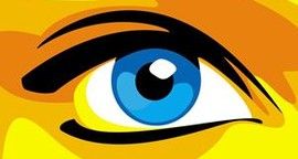 Loft Story, Compte-rendu des émissions