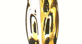 Oscars 2011 : les nominations