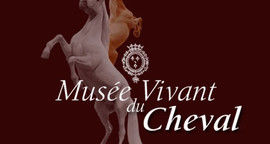 Critique Musée Vivant du Cheval de Chantilly - Interview