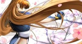 Dead or Alive Dimensions - Test