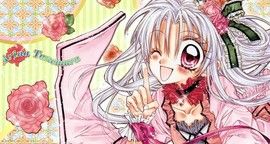 Princesse Sakura T.4
