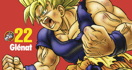 Dragon Ball Perfect Edition T.22