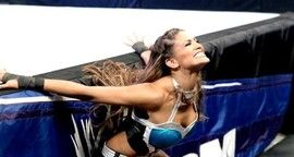 Catch - WWE - Et si ... On ne parlait pas de Punk !