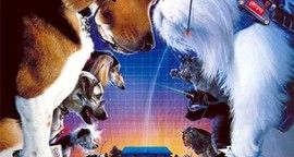 Critique Comme chiens et chats