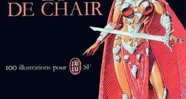 Critique De métal et de chair