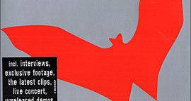 Critique DVD Guano Apes - Planet of the Apes