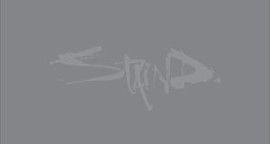 Critique Staind - 14 Shades of Grey