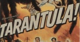 Tarantula - Dossier sur les araignées