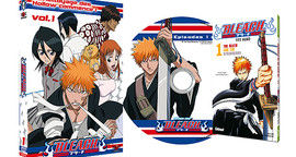 Critique Bleach - la série