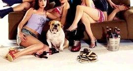 Critique American Party - Van Wilder relations publiques