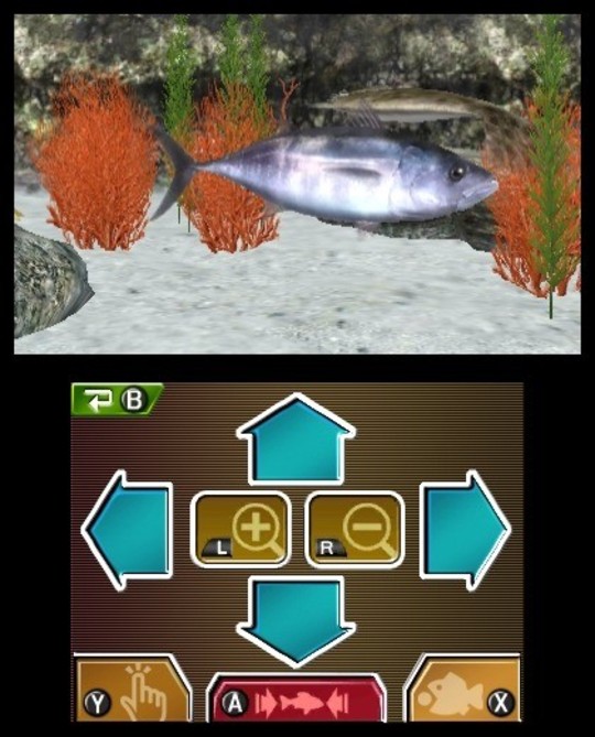 Reel Fishing Paradise 3D - Vidéo et images