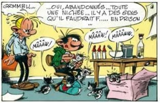 Gaston hors-série - Des gaffes et des chats