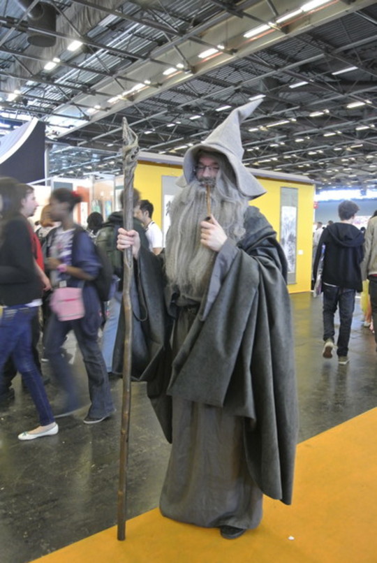 Japan Expo 2013 - Le Cosplay