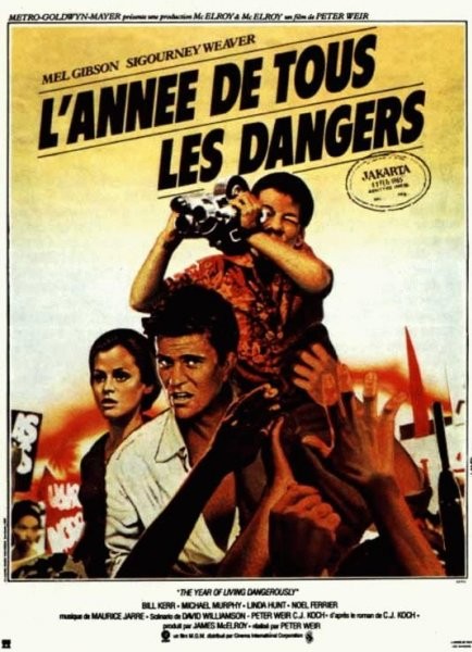 année de tous les dangers (L')