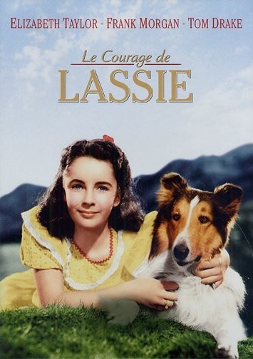 Courage de Lassie (Le)