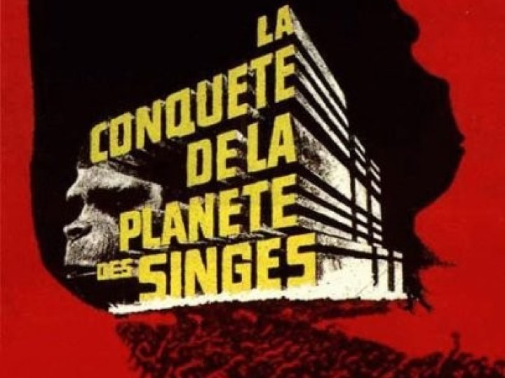 Orang-outang en emporte le vent : la saga de la Planète des Singes