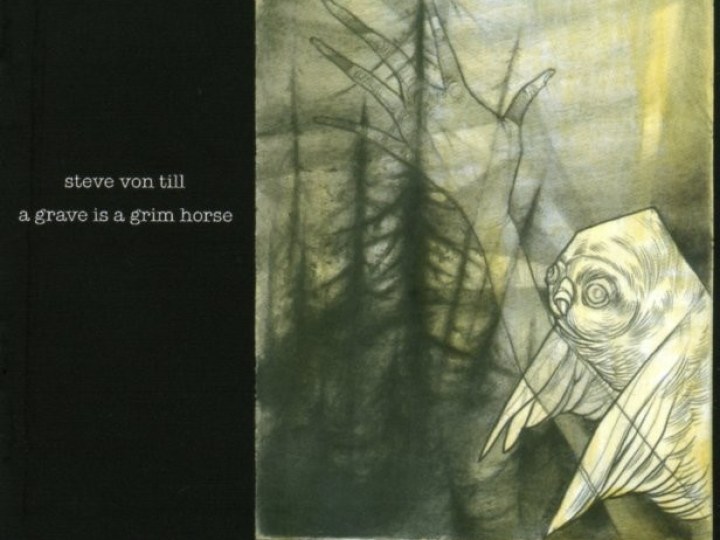 Von Till (Steve) - A Grave Is A Grim Horse