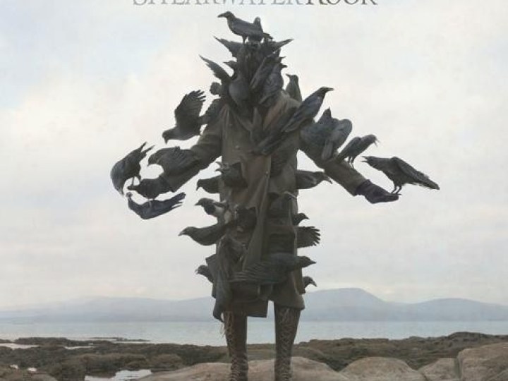 Shearwater - Rook 