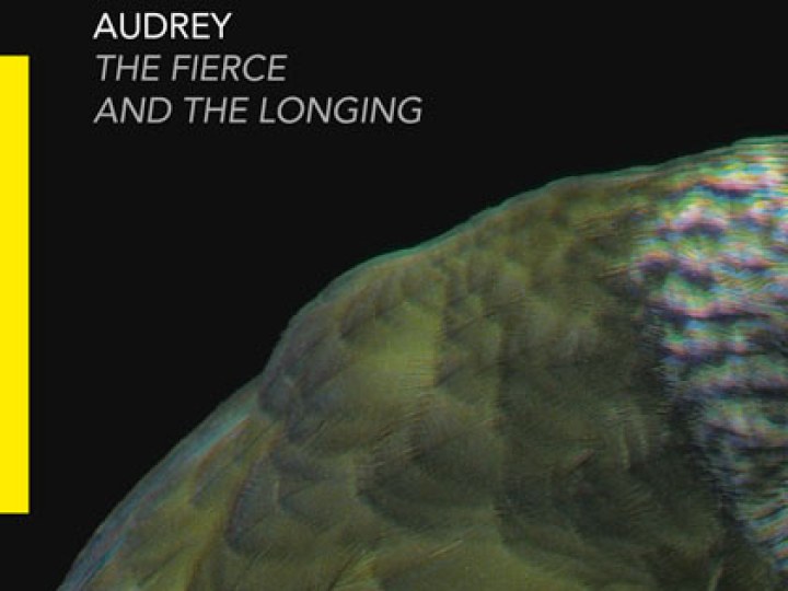Audrey - The Fierce And The Longing