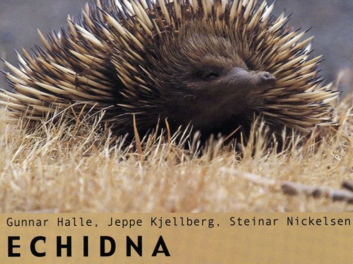 Halle (Gunnar) / Jeppe Kjellberg / Steinar Nickelsen - Echidna