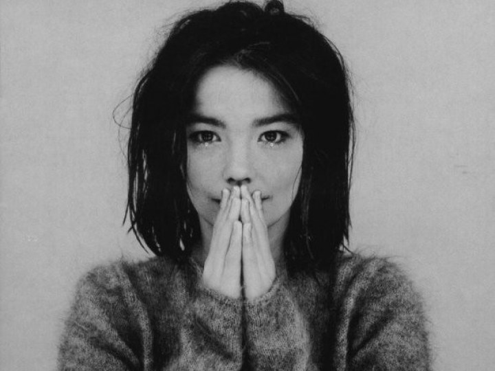 Björk - Debut