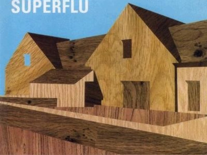 Superflu - Et puis après on verra bien