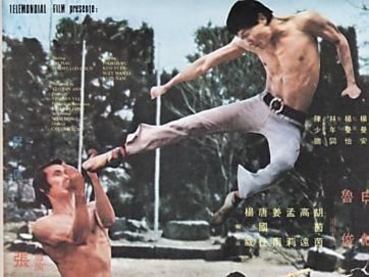 Les films d'action asiatiques des années 70 : les titres français qui réjouissent