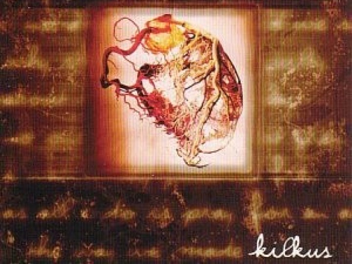 Kilkus - The Pattern of Self Design