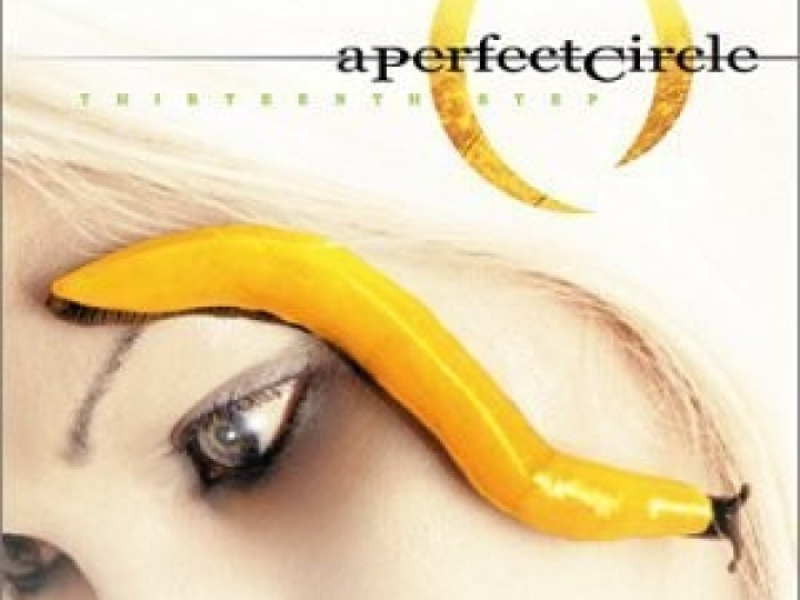 A Perfect Circle - Thirteenth Step