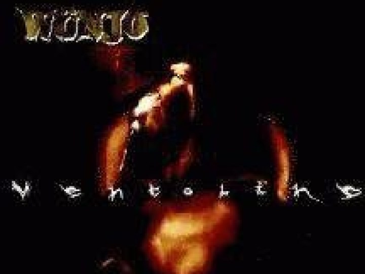 Wunjo - Interview