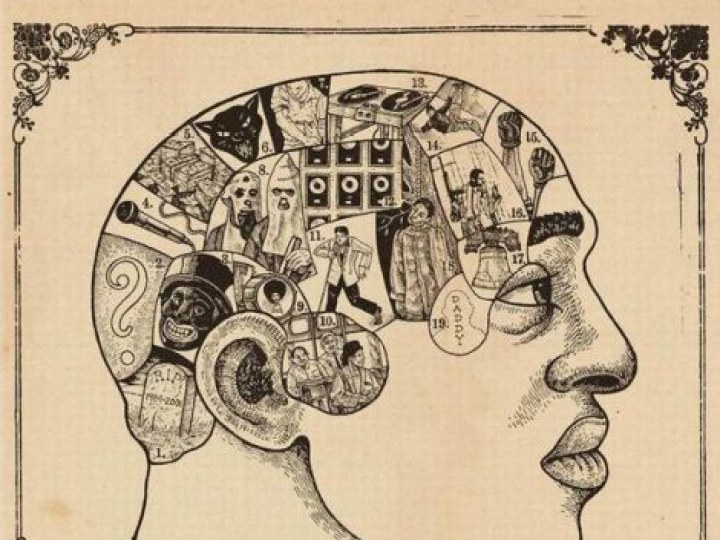 Roots (The) - Phrenology