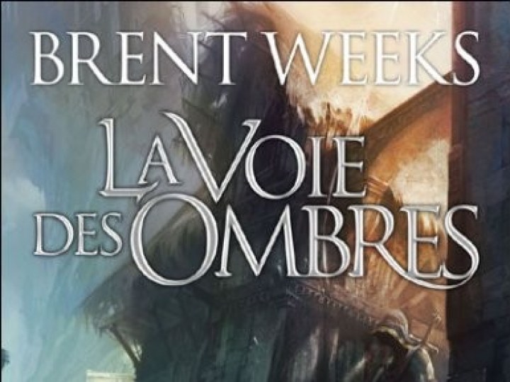 Voie des ombres (La) - Tome 1 - L'ange de la nuit