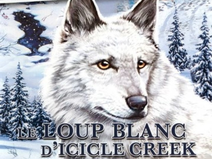Enquêtes de Nancy Drew : Le Loup Blanc d'Icicle Creek (Les) - Test