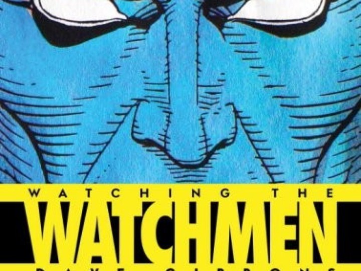 Watching the Watchmen