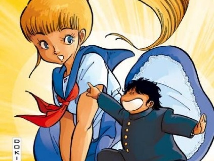 Académie des Ninjas (L')