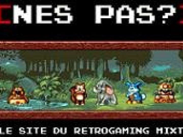 NES Pas