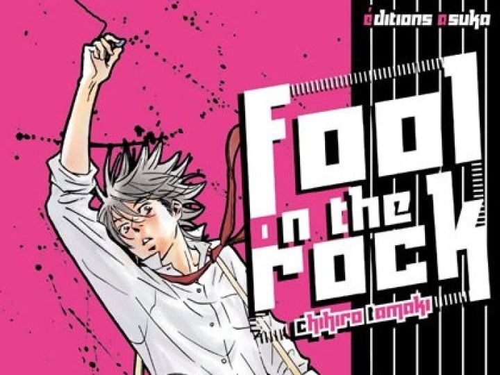 Fool on the Rock !