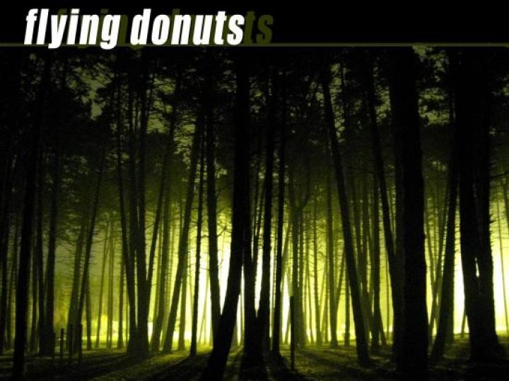Flying Donuts - Interview 20/08/2009