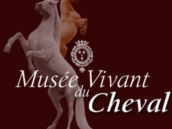 Musée Vivant du Cheval - Chantilly