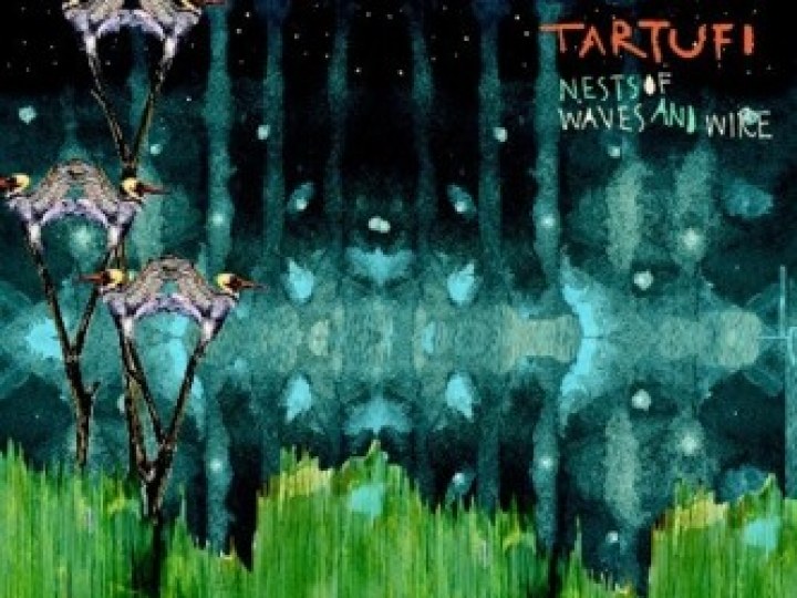 Tartufi - Nests of Waves and Wire