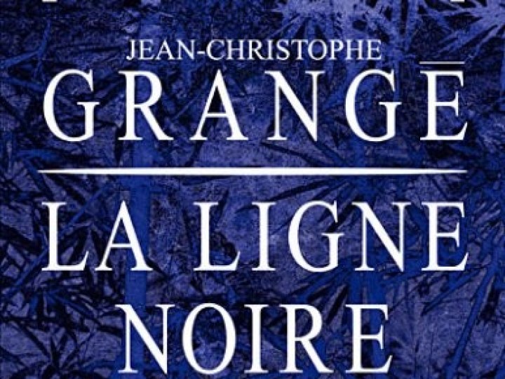 Ligne noire (La)